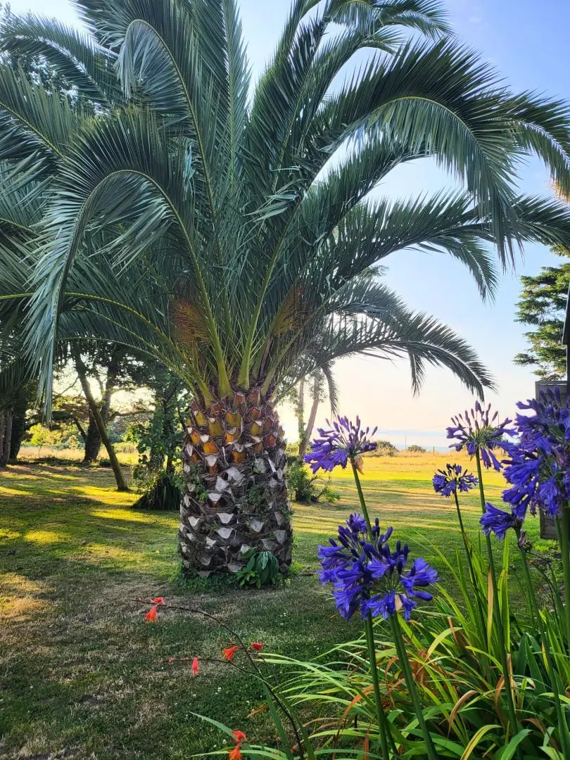 Gîte de France Ty gwenn 3 épis
