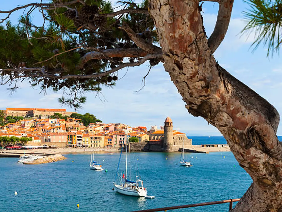Location de Vacances Canet-en-Roussillon 105