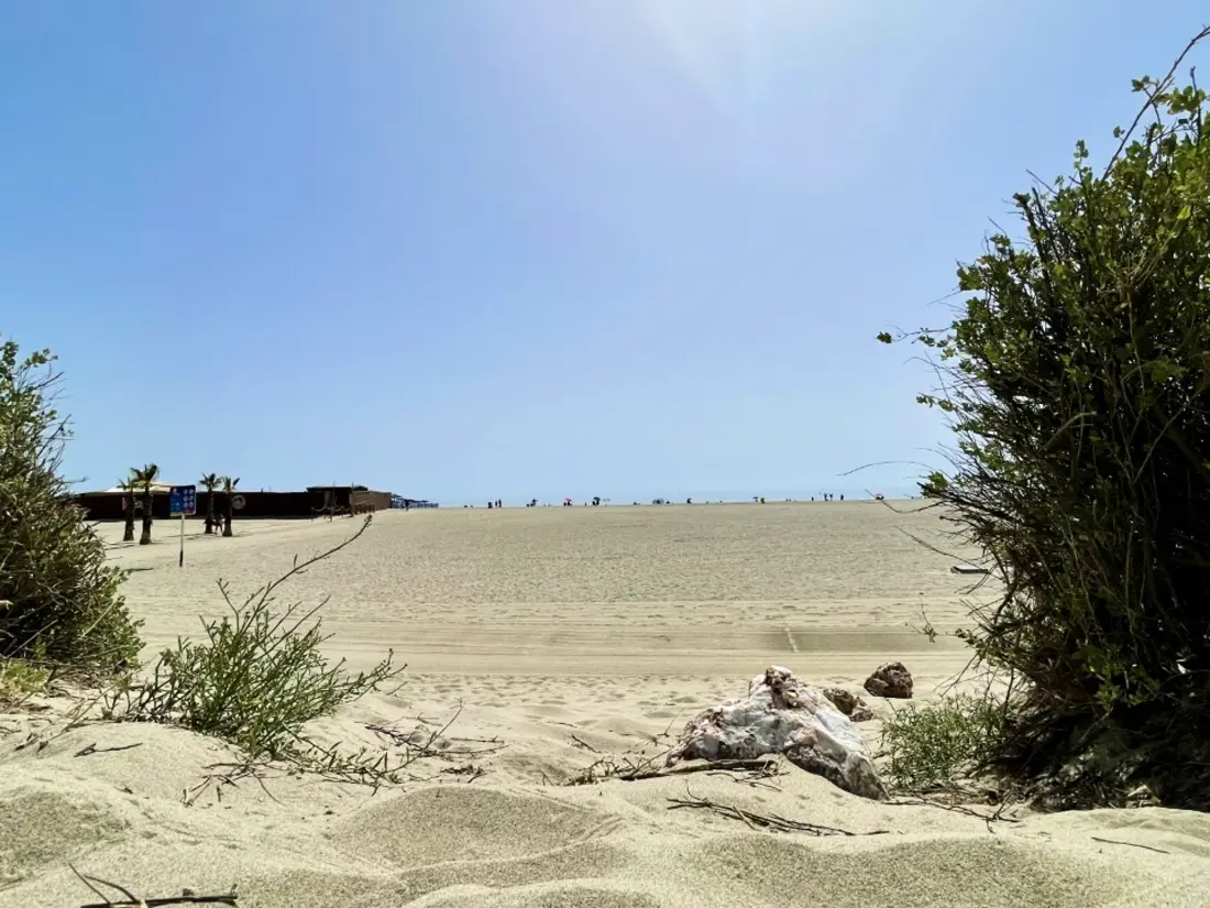 Location de Vacances Canet-en-Roussillon 114