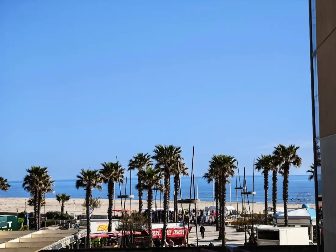 Location de Vacances Canet-en-Roussillon 172