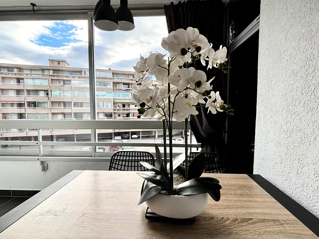 Location de Vacances Canet-en-Roussillon 242