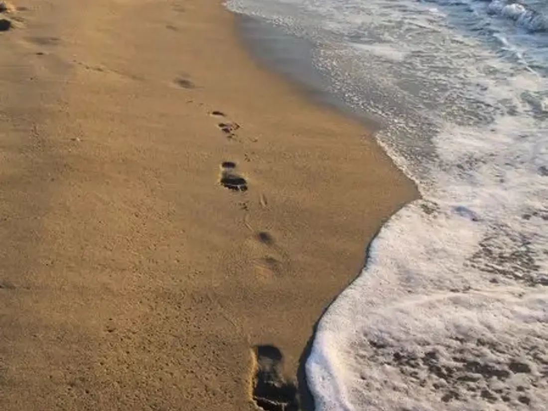 Location de Vacances Canet-en-Roussillon 258