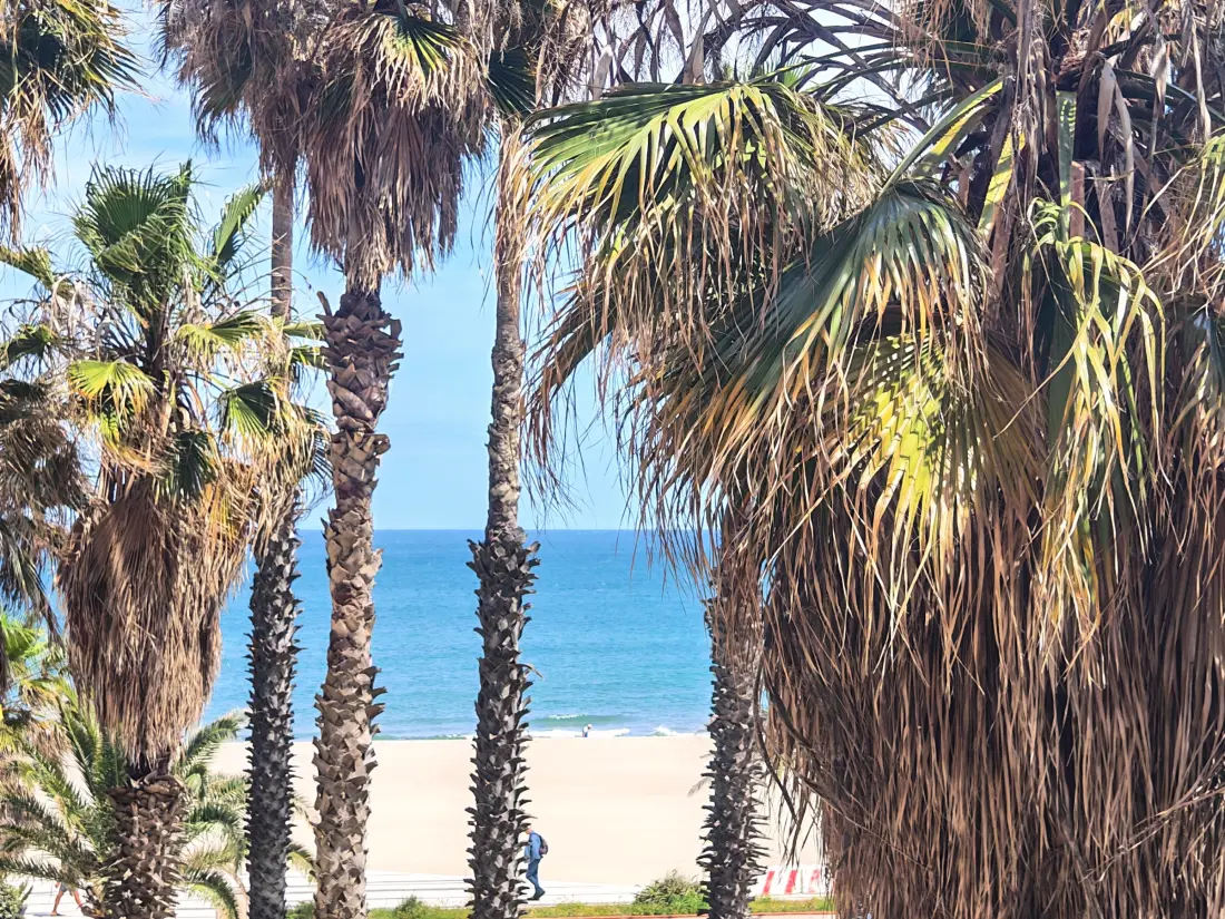 Location de Vacances Canet-en-Roussillon 289