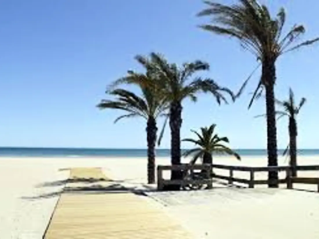 Location de Vacances Canet-en-Roussillon 291
