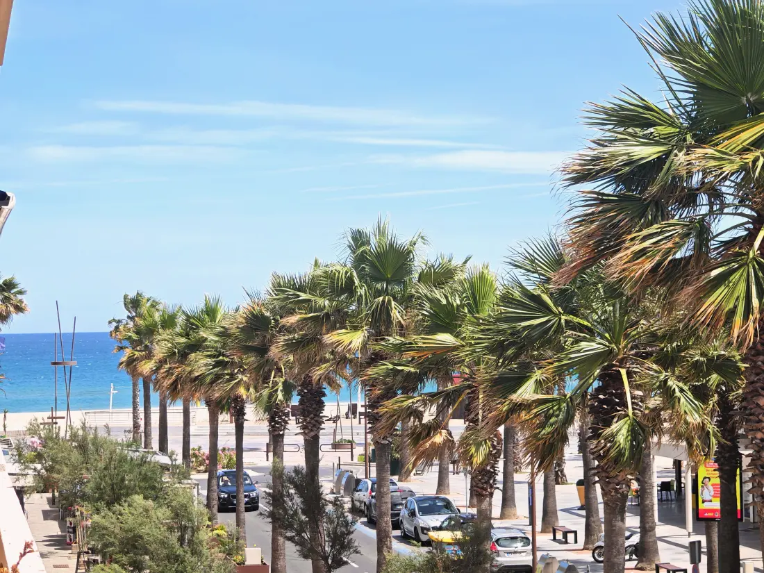 Location de Vacances Canet-en-Roussillon 294