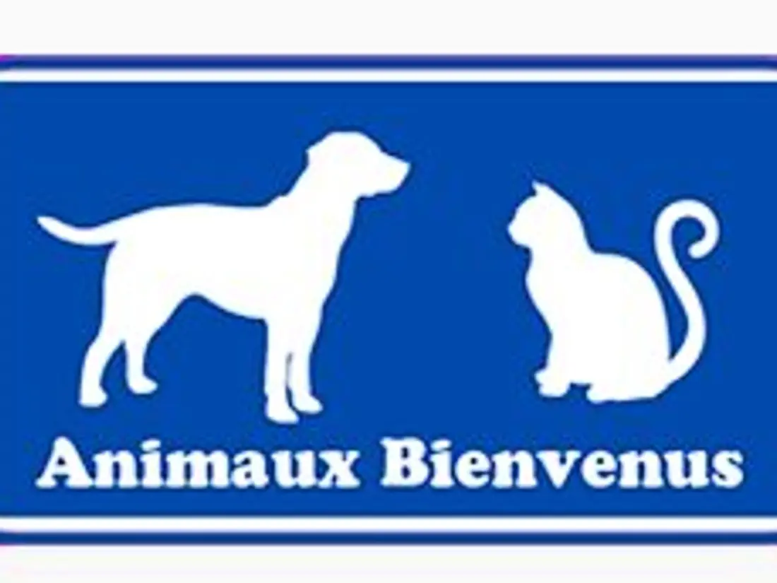 Location de Vacances Canet-en-Roussillon 74