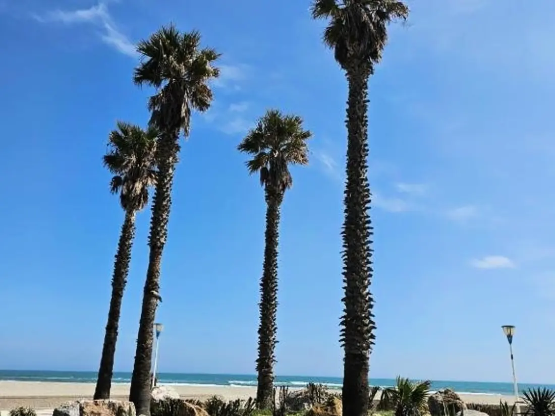 Location de Vacances Canet-Plage 149