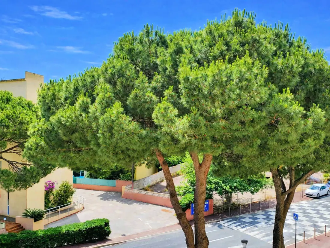 Location de Vacances Canet-Plage 197