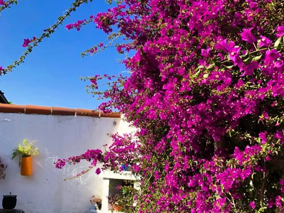 Maison de Vacances Canet-en-Roussillon 82