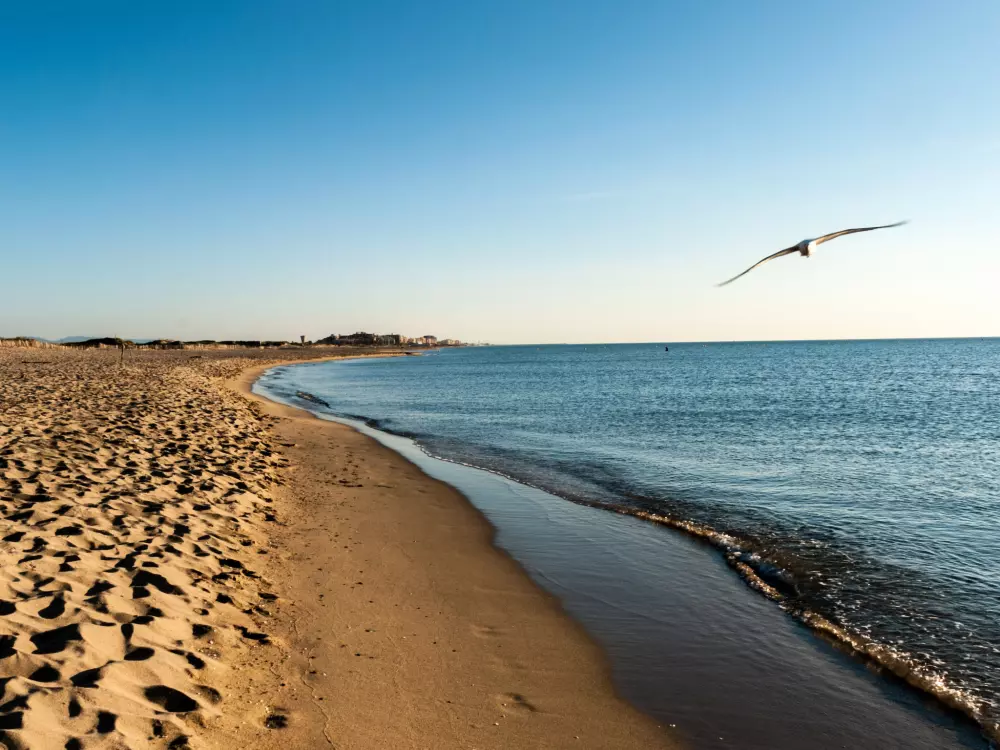 Maison de Vacances Canet Plage