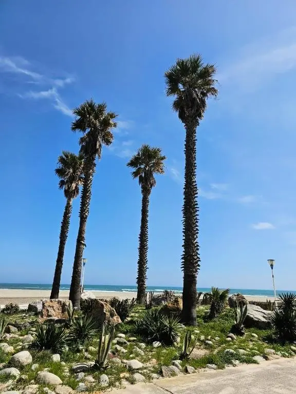 Résidence Copacabana
