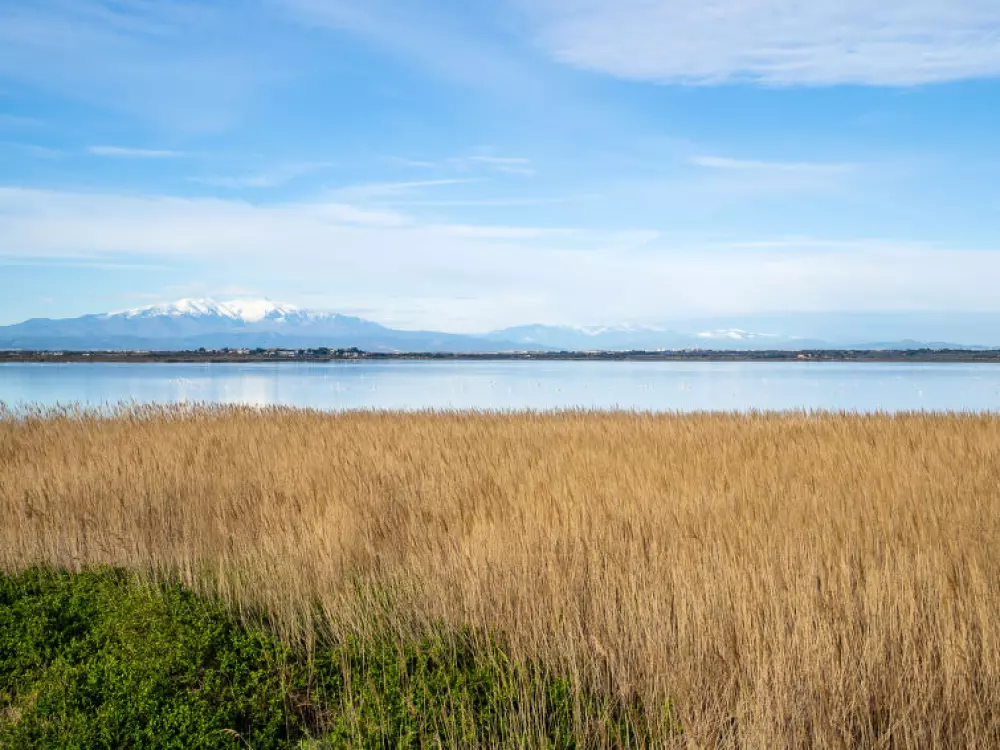Résidence Rose des Sables