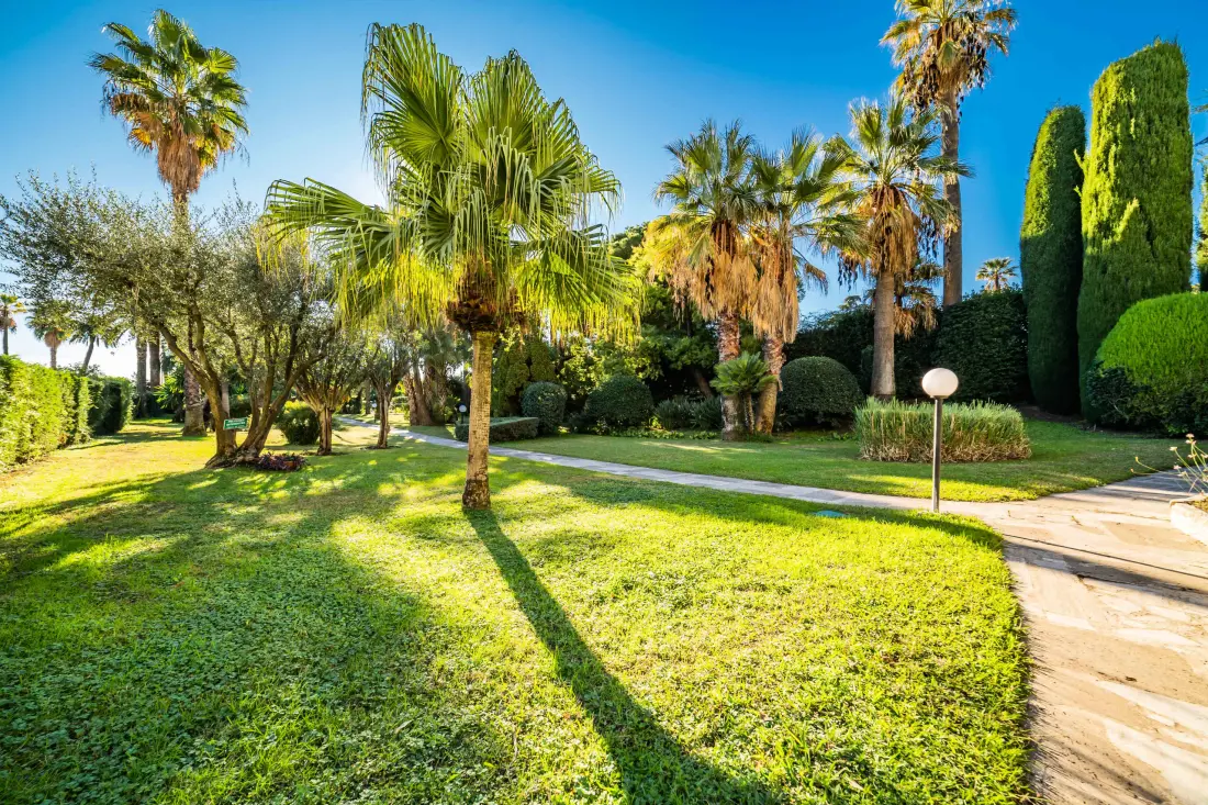 Appartements à Cannes