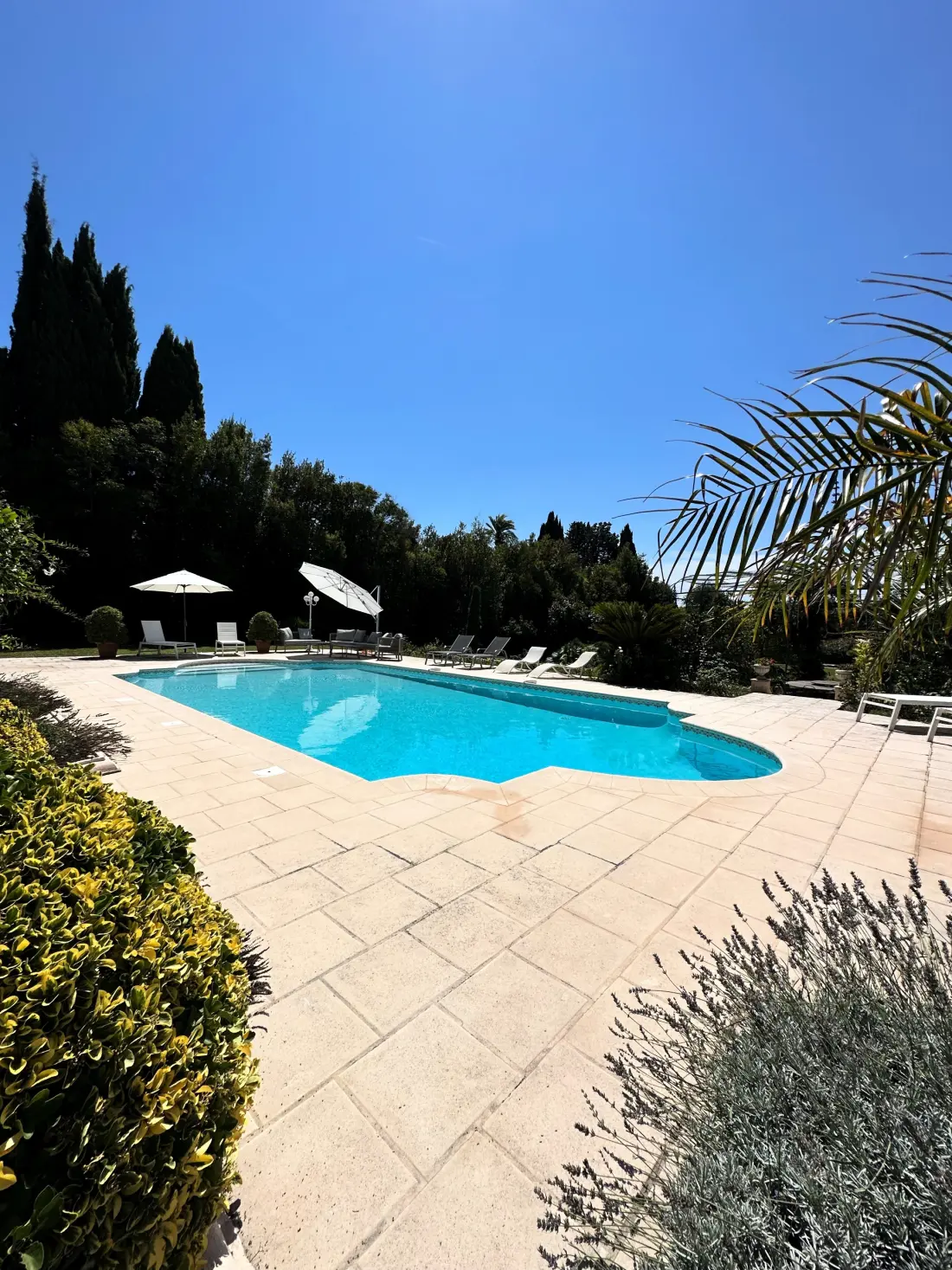Maison à Cannes