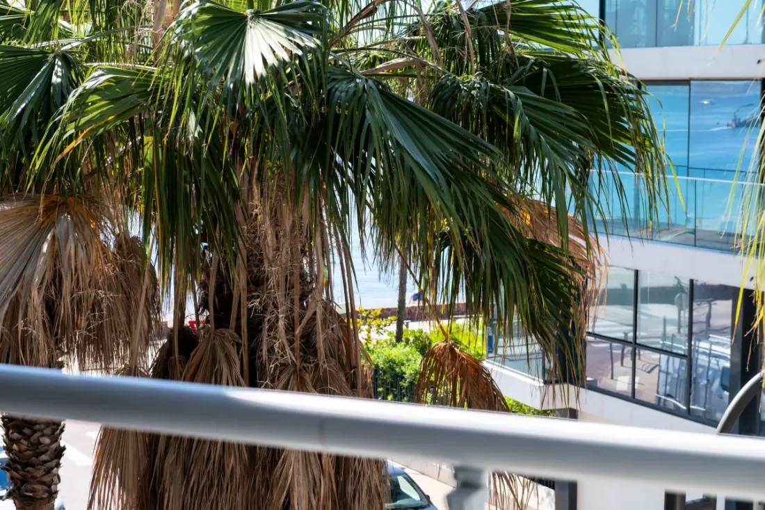 Résidence 2p Avec Terrasse - Au Pied Des Plages