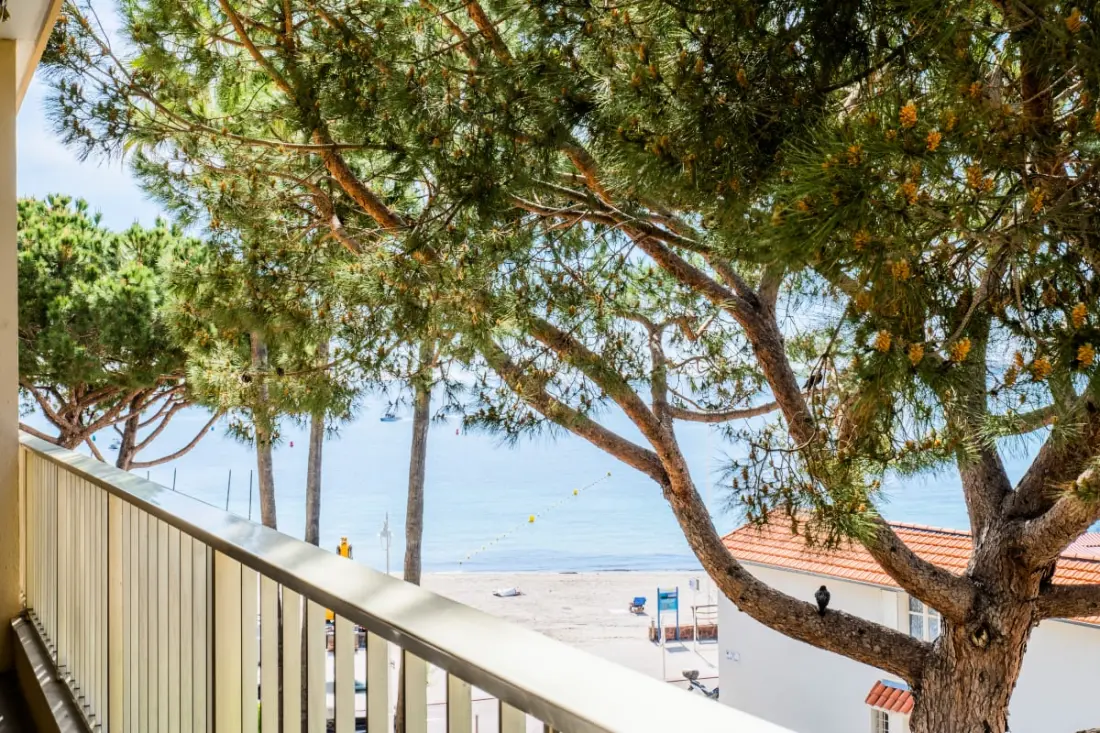 Résidence 2p Avec Terrasse, Vue Mer Et Parking