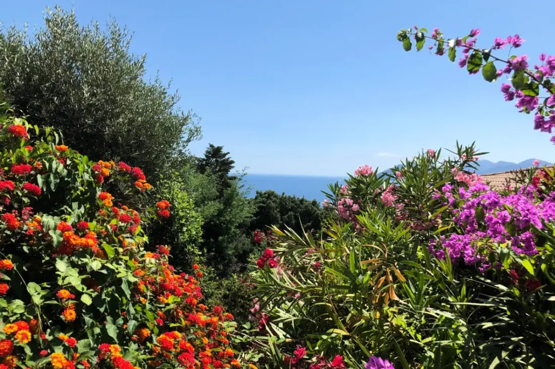 Vue Sur La Mer Et Belle Piscine