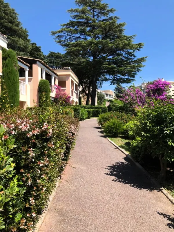 Vue Sur La Mer Et Belle Piscine