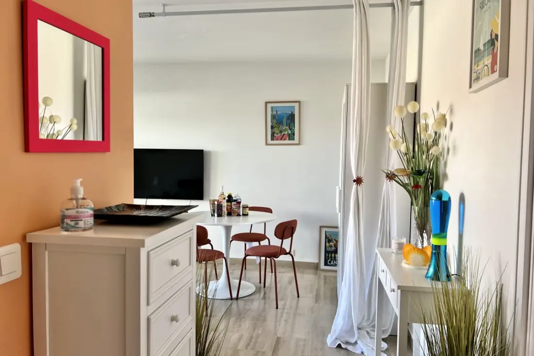 Bel Appartement Avec Terrasse Proche Croisette