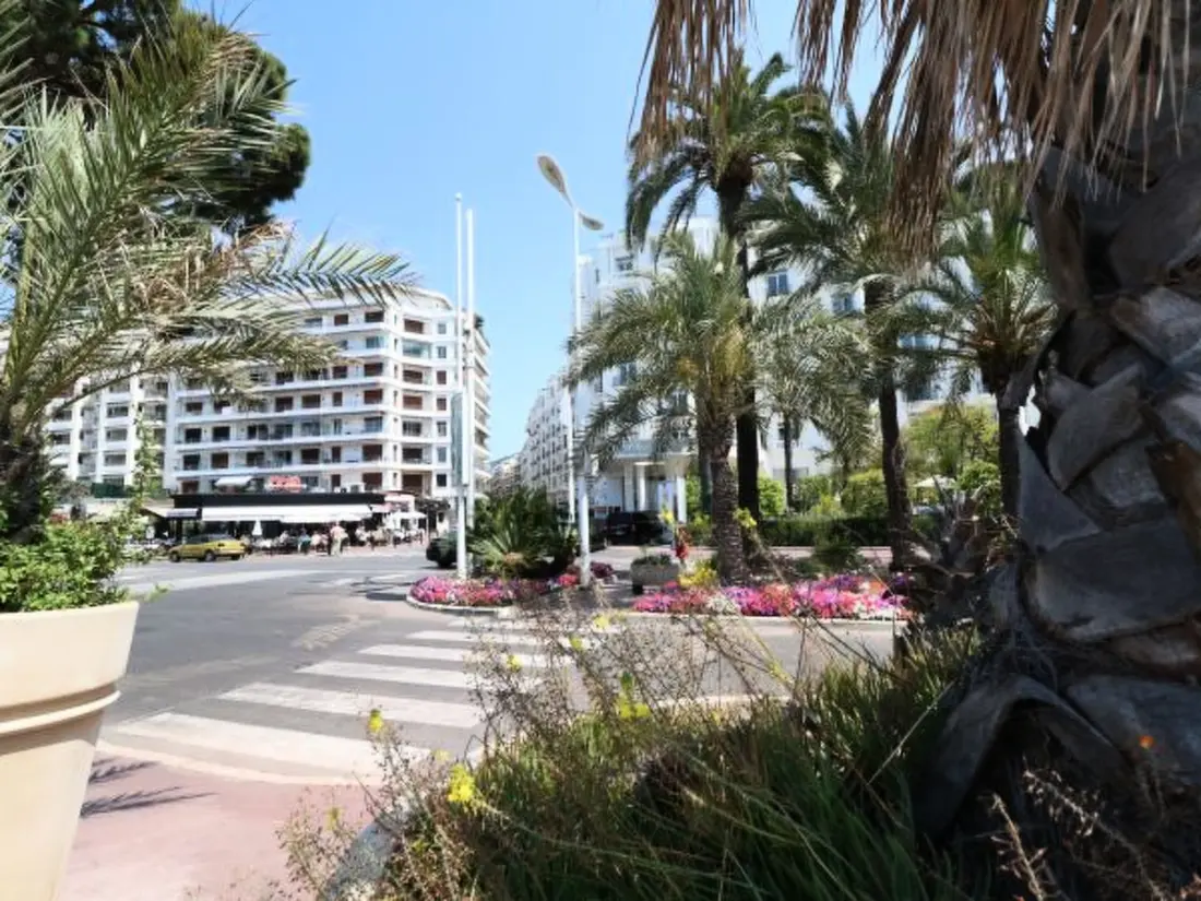 Résidence Croisette Martinez 1 bedroom 241