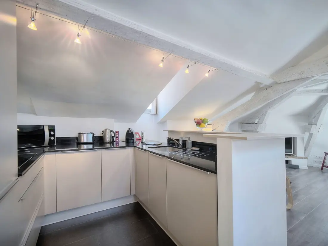Résidence Loftartige Wohnung in ruhiger Lage in Cannes