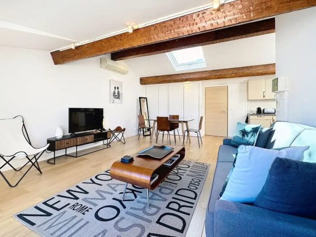 Résidence Penthouse 1 bedroom rue d'Antibes 214