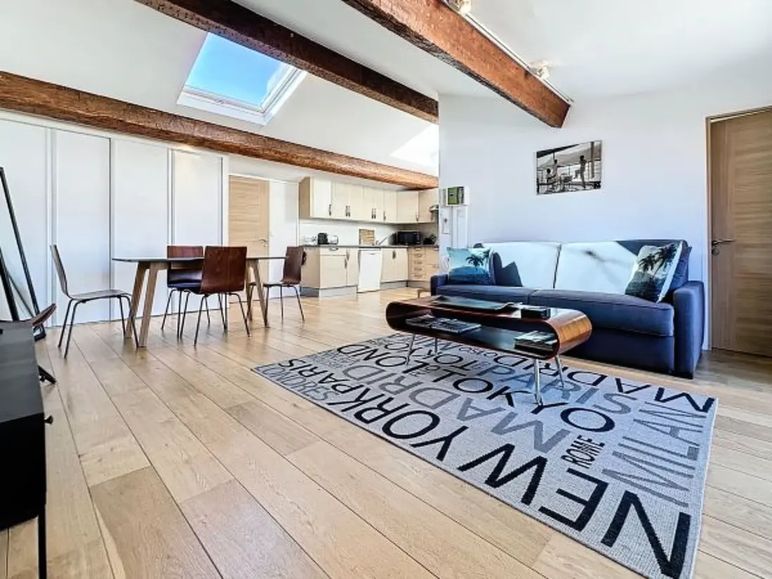 Résidence Penthouse 1 bedroom rue d'Antibes 214