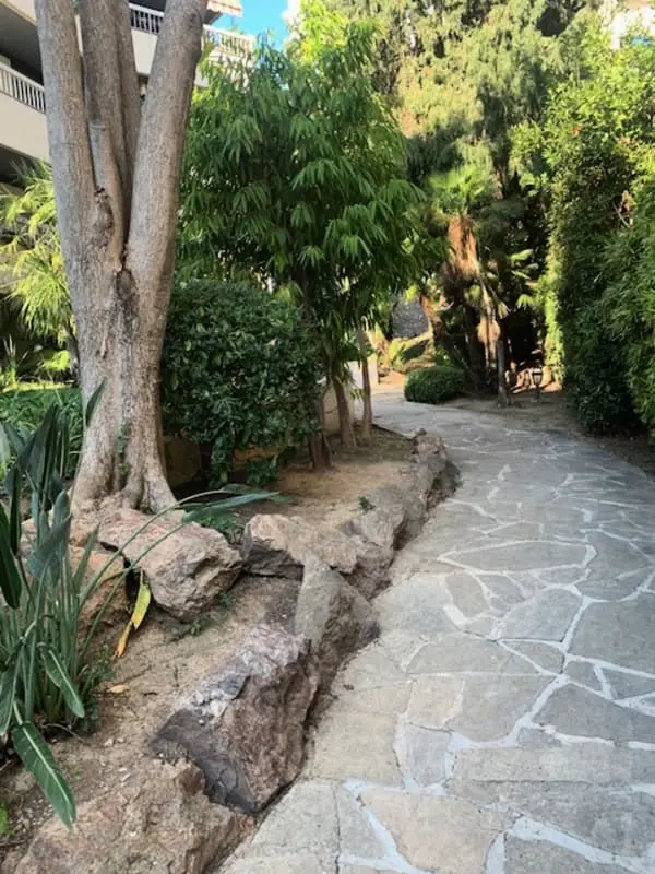 Perle Rare à Cannes