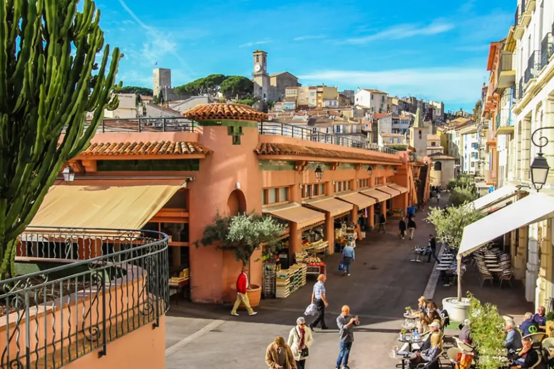 Résidence Petit Paradis Cannes Centre Avec Piscine Et Parc ❤villa Le Lys❤