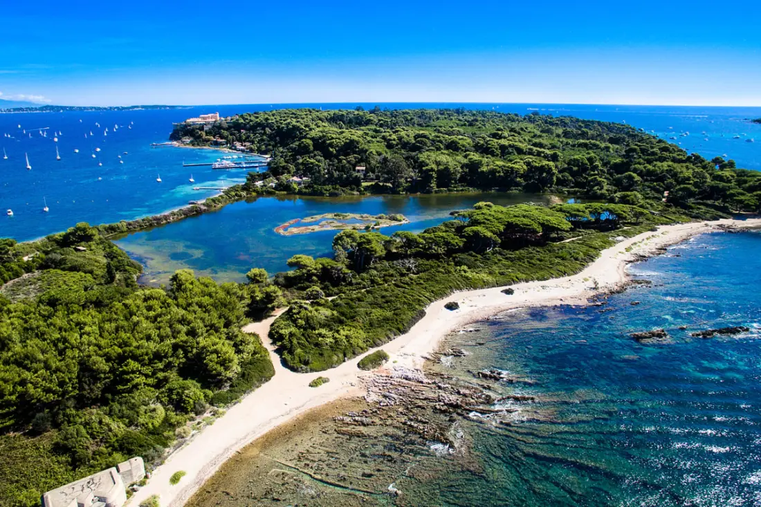 Résidence Petit Paradis Cannes Centre Avec Piscine Et Parc ❤villa Le Lys❤