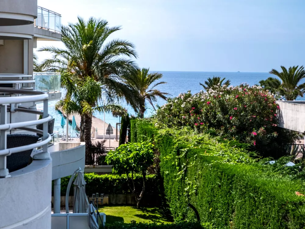 Résidence Royal Palm