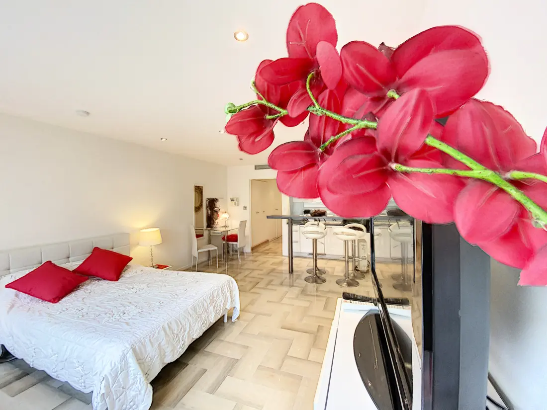 Studio à Cannes