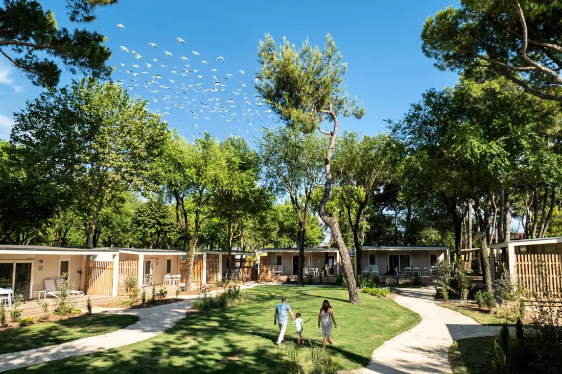 Camping San Francesco5 étoiles★★★★★