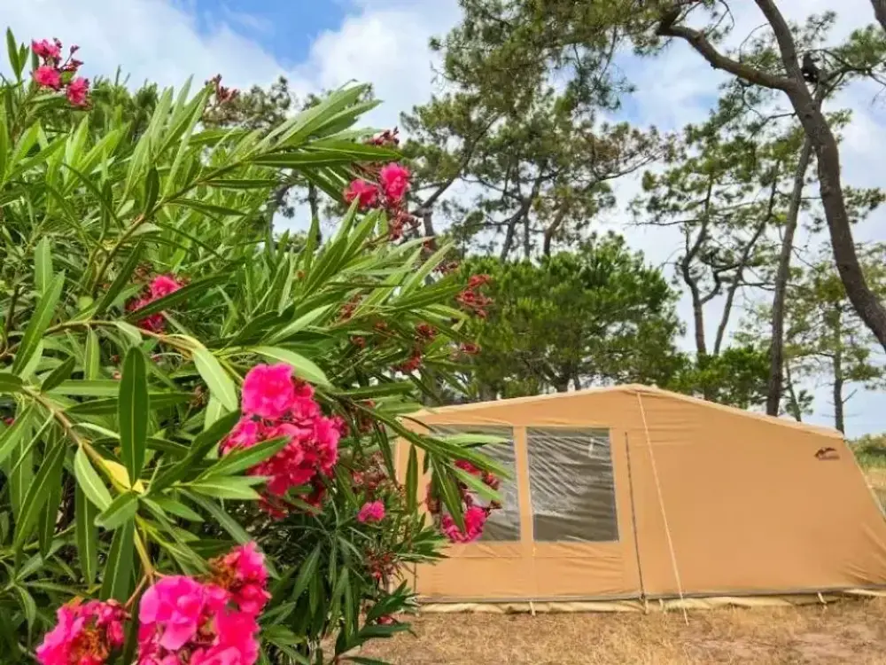 Camping La Tamarissière4 étoiles★★★★