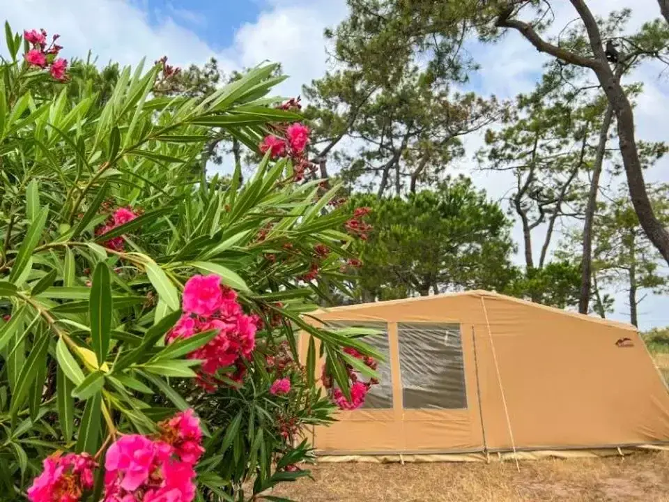 Camping La Tamarissière4 étoiles★★★★