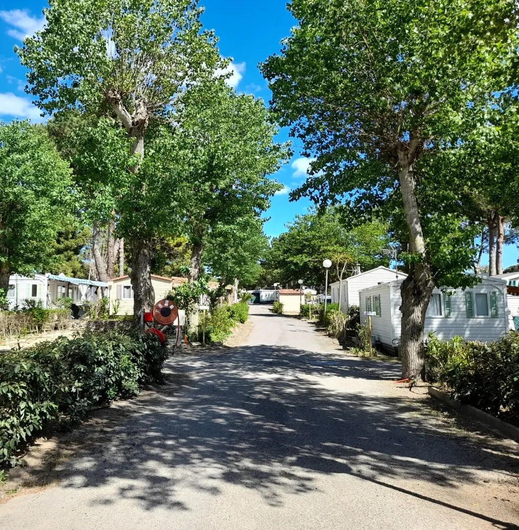 Camping maeva Escapades Les Jardins d'Agathe 4 étoiles★★★★