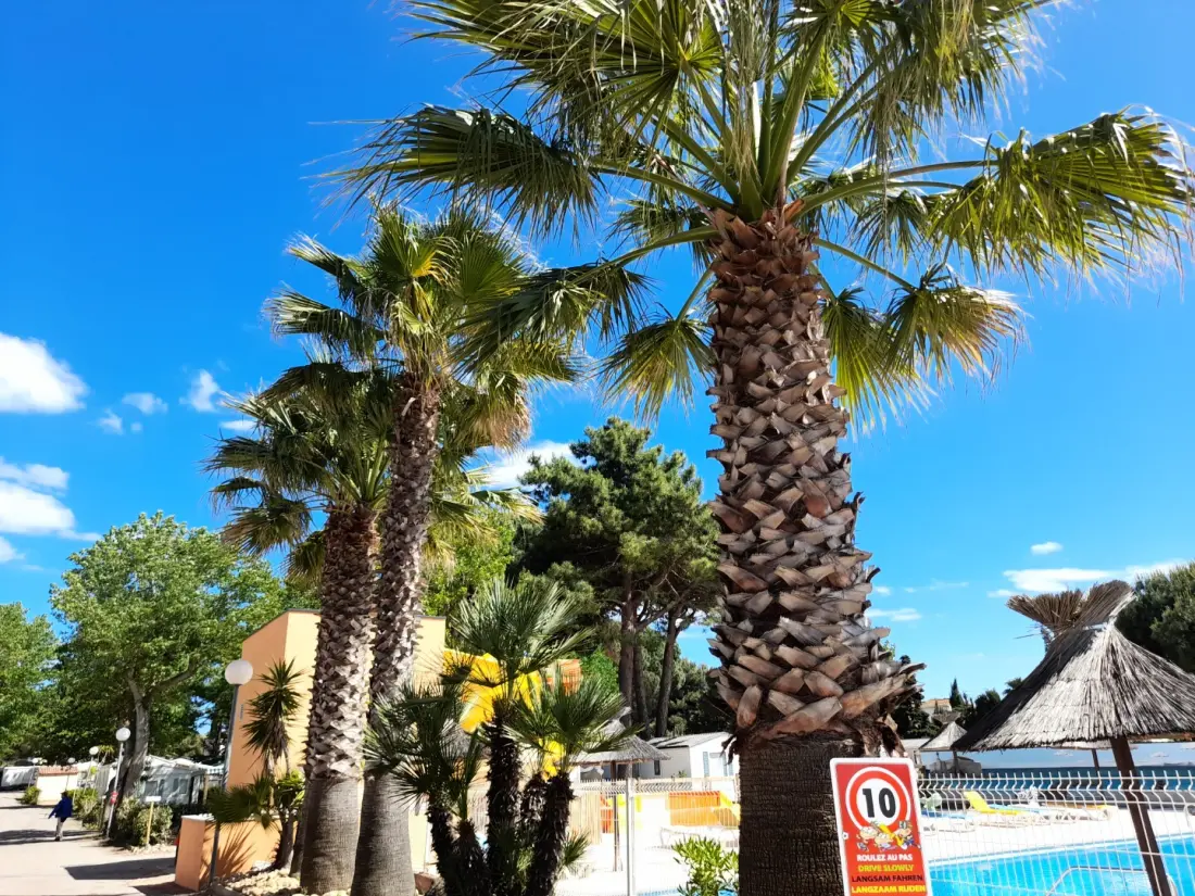 Camping maeva Escapades Les Jardins d'Agathe 4 étoiles★★★★