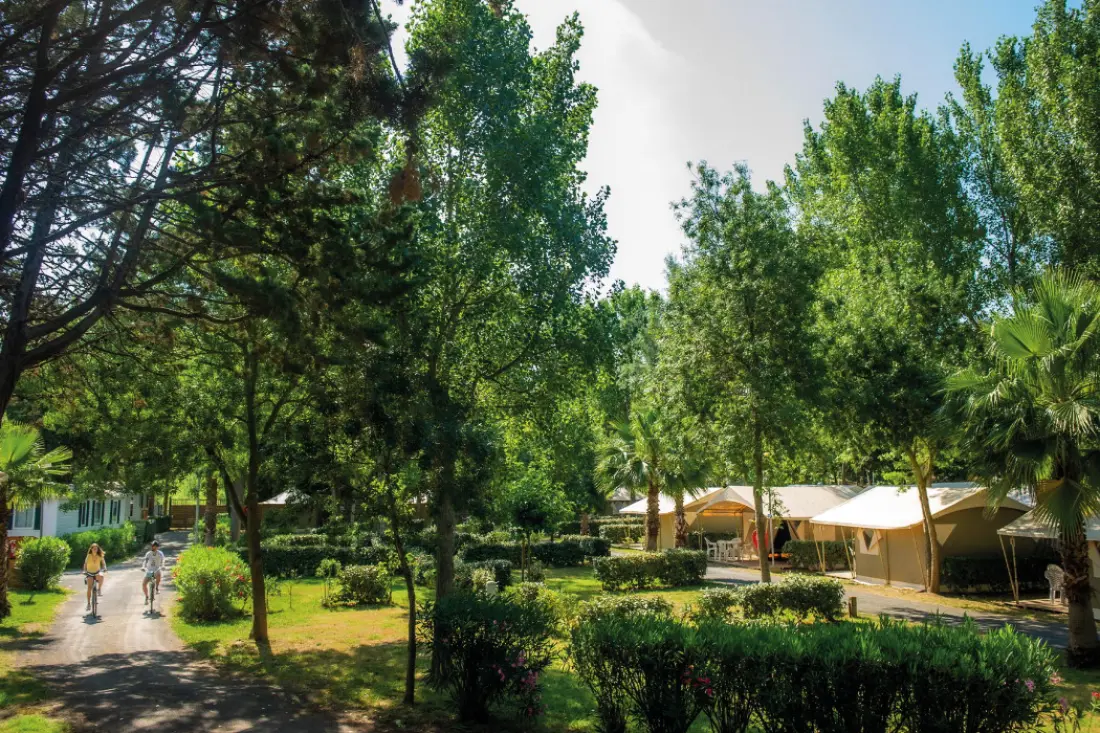 Camping Parc des Sept Fonts
