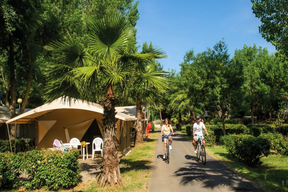Camping Parc des Sept Fonts