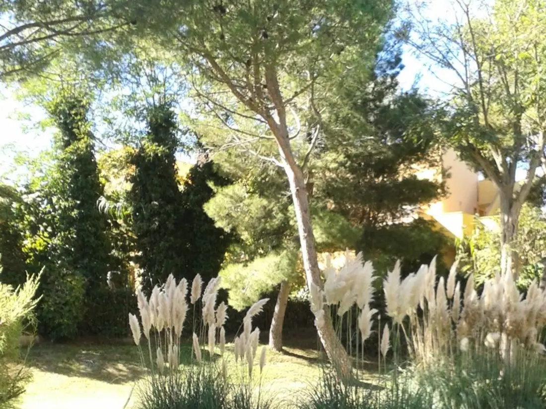 Location de Vacances Cap d'Agde 511