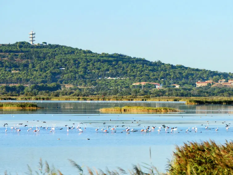 Résidence L'île des Marinas