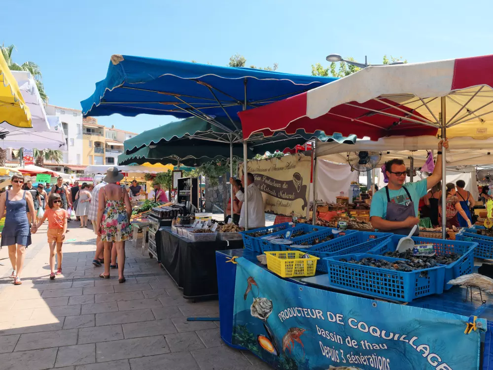 Résidence Santa Monica 1