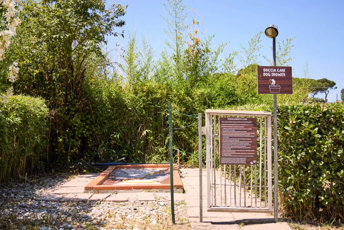 Camping Village Club Costa d'Argento 3 étoiles★★★