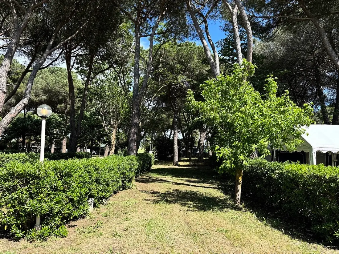 Camping Costa d'Argento Village Club 3 étoiles★★★