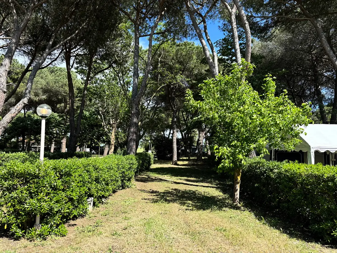 Camping Costa d'Argento Village Club 3 étoiles★★★