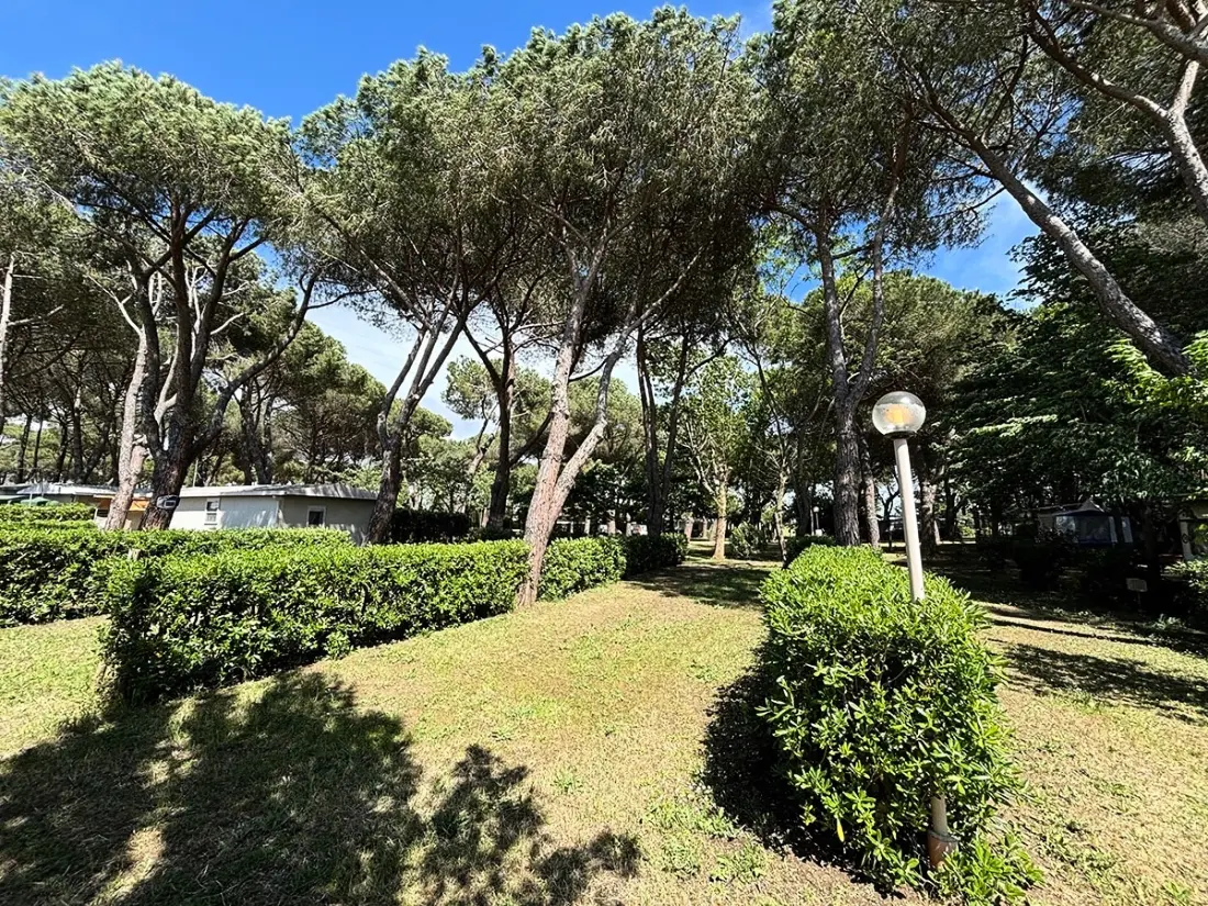 Camping Costa d'Argento Village Club 3 étoiles★★★