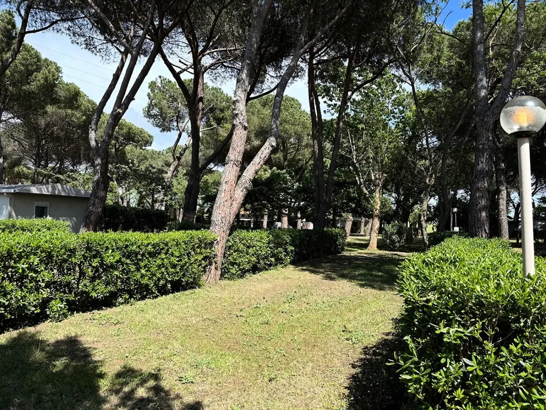 Camping Costa d'Argento Village Club 3 étoiles★★★