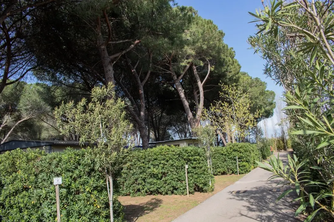 Camping Costa d'Argento Village Club 3 étoiles★★★