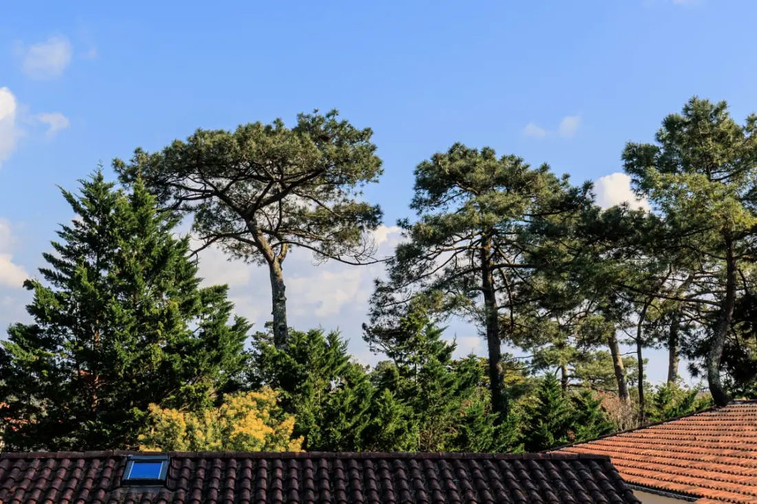 Maison Des Bonheurs Océaniques -