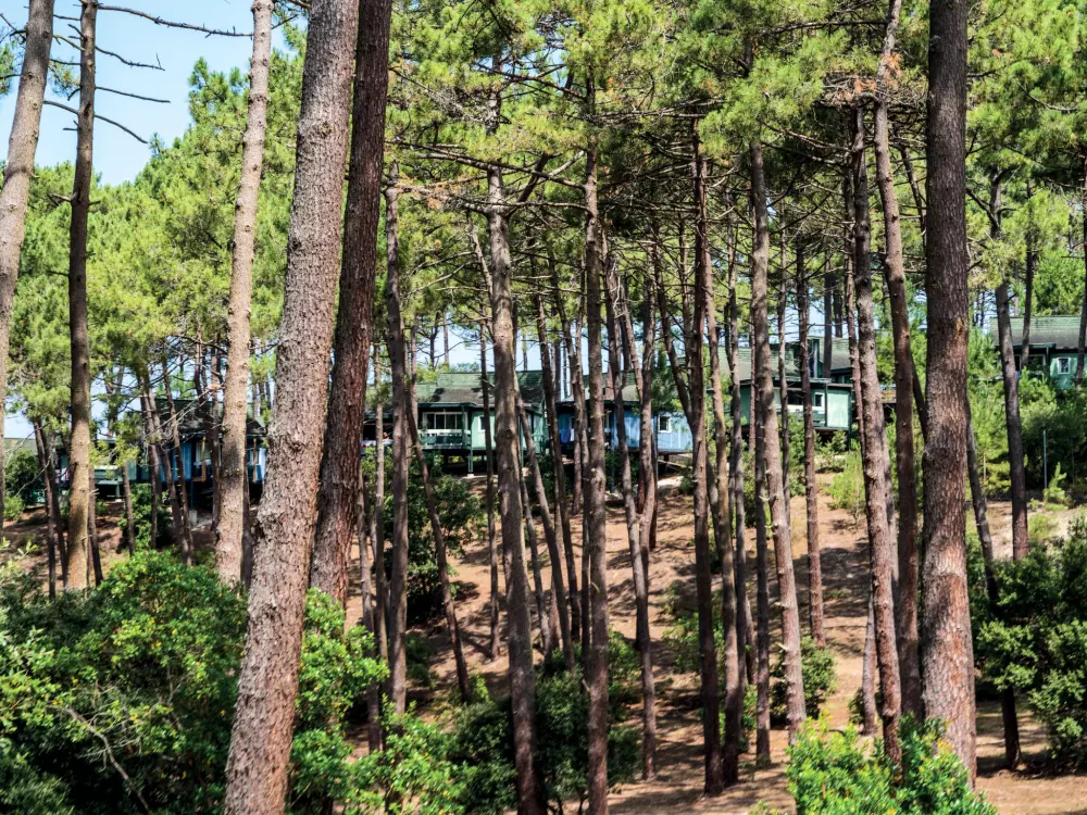 Maison de Vacances Carcans Maubuisson